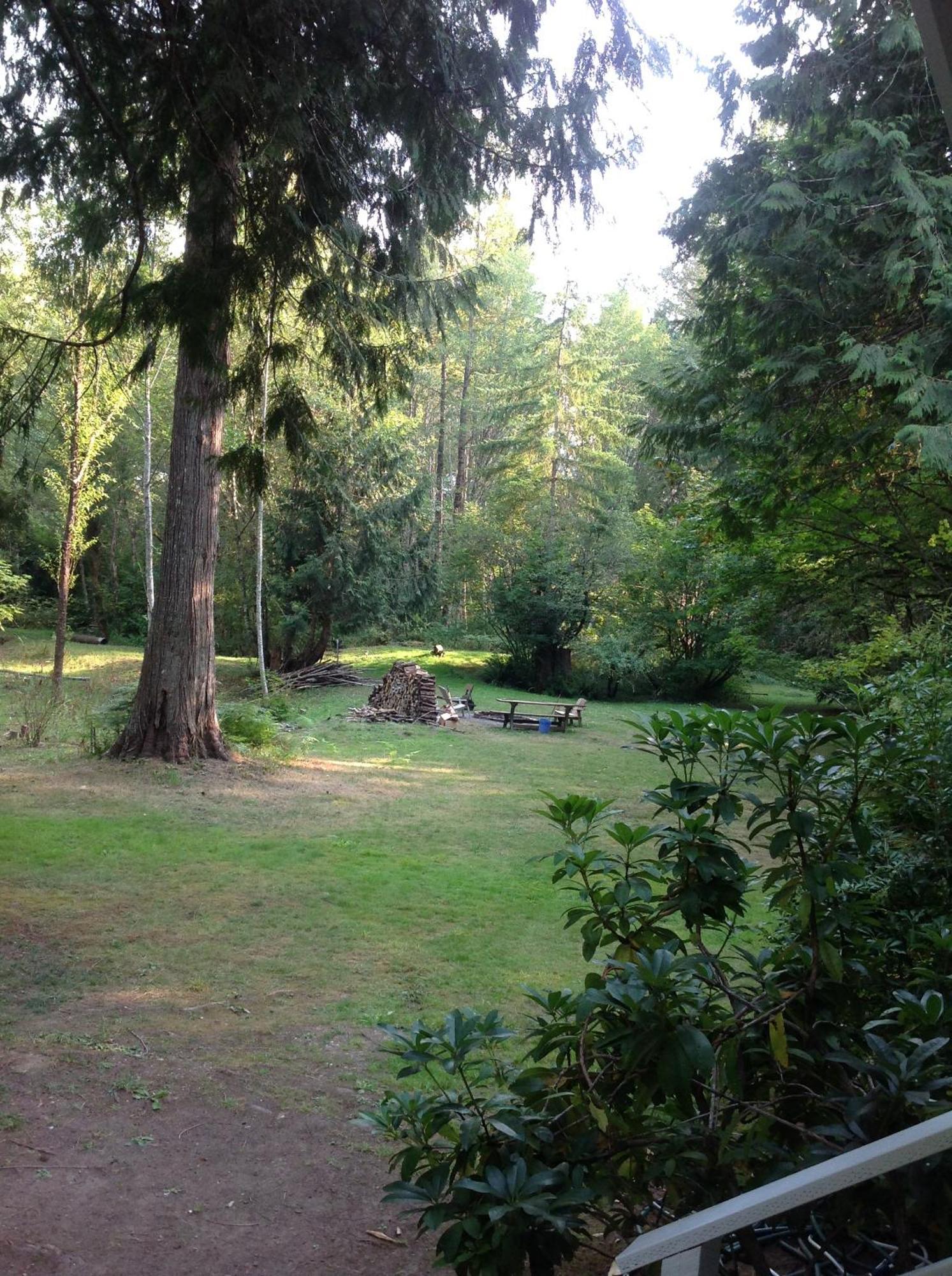 Mountain Meadows Inn & Chalet Suites Ashford Eksteriør bilde